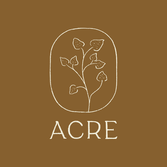 Acre: A New Chapter