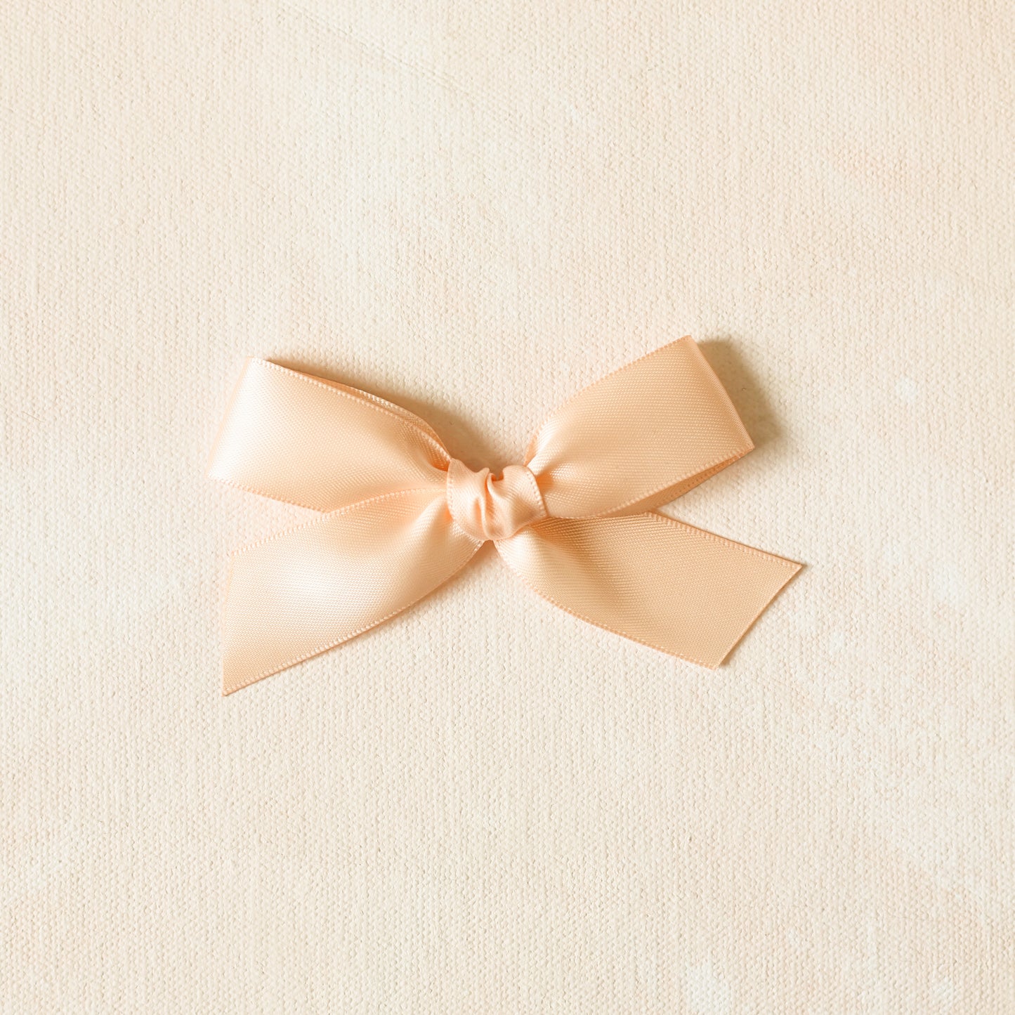 Petite Classic Band or Clip // Lenny